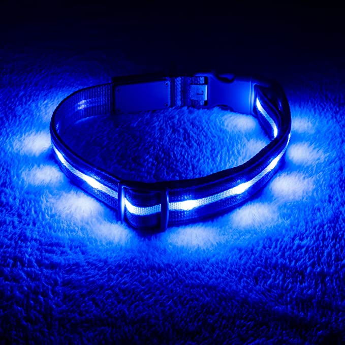 Blazin LED Light Up Dog Collar - 1,000 Feet of Visibility - Brightest for Night Safety - USB Rechargeable with Water Resistant Glowing Dog Collar Light