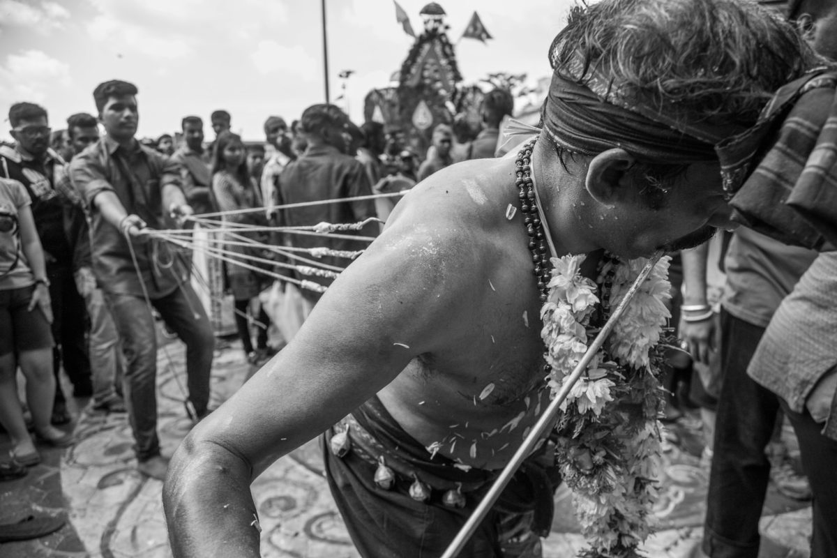 Hindu at Thaipusam gets pulled by ropes attached to large hooks in his back