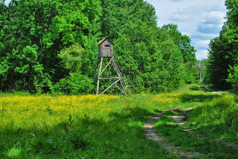Зображення
