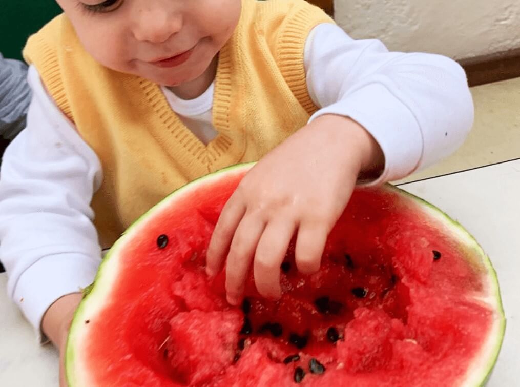 A imagem mostra uma criança com a mão em uma melancia.