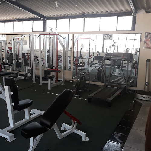 Gimnasio Eltoide