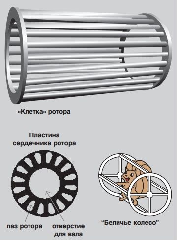 Как снять беличье колесо