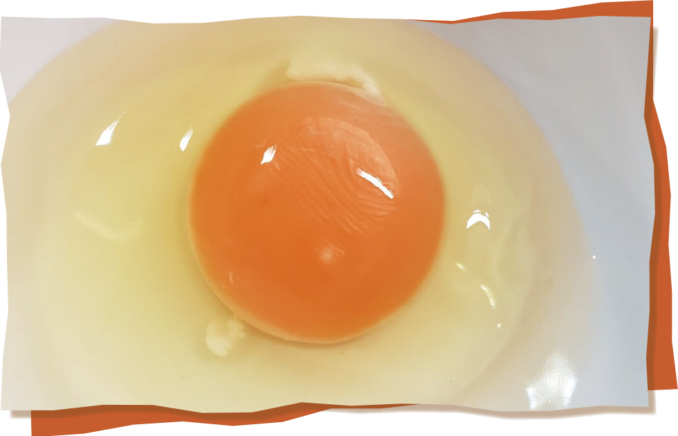 かっぱの健卵は、食欲をそそる綺麗なオレンジ色の卵。