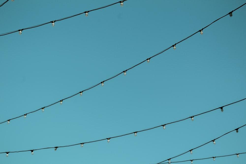 worm's eye view photography of black string lights