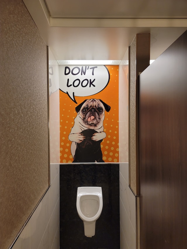 Master Pug Training: toilet