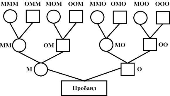 Структурная схема родословной собаки. Табличная родословная КРС. Структурная родословная коров. Схема составления родословной для коровы.