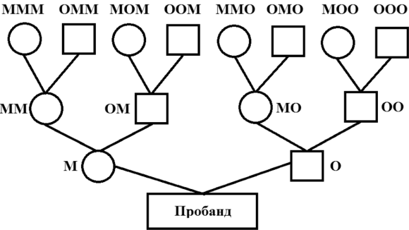 На рисунке представлено генеалогическое. Структурная схема родословной собаки. Структурная родословная коров. Структурная родословная собак. Структурная родословная КРС.