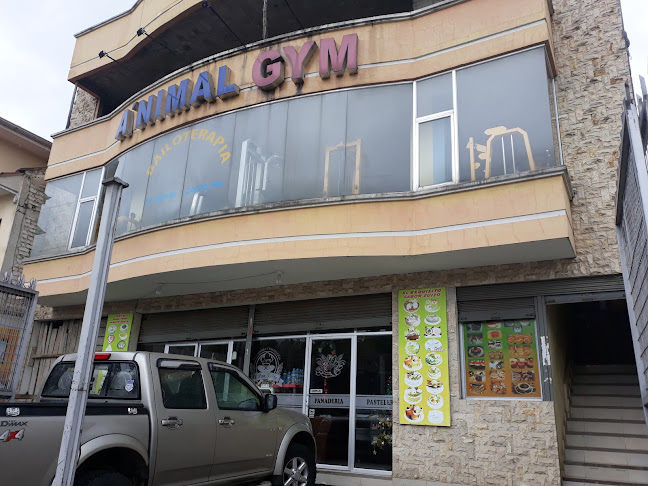 Animal Gym - Gimnasio