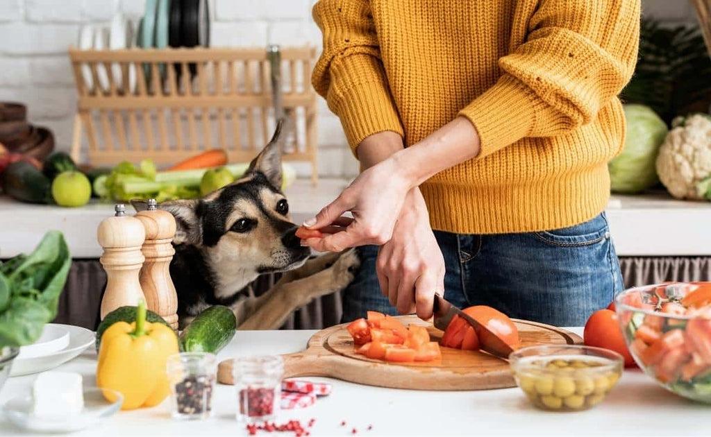 15 Dangerous Foods Your Dog Should Never Eat [AVOID] 