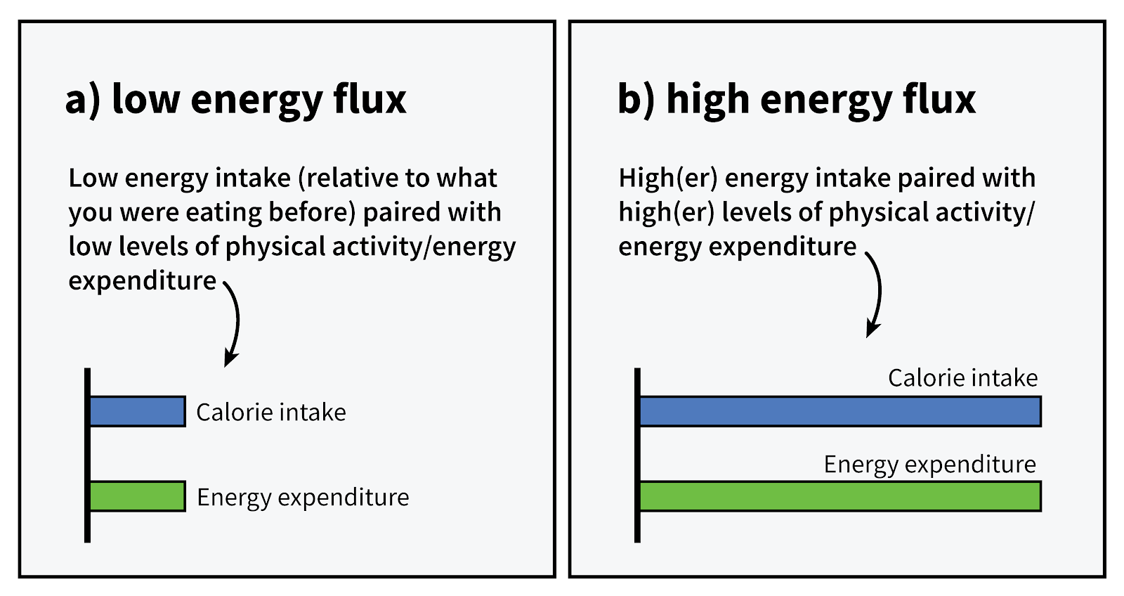 cardio-or-weights-energy-flux-graph