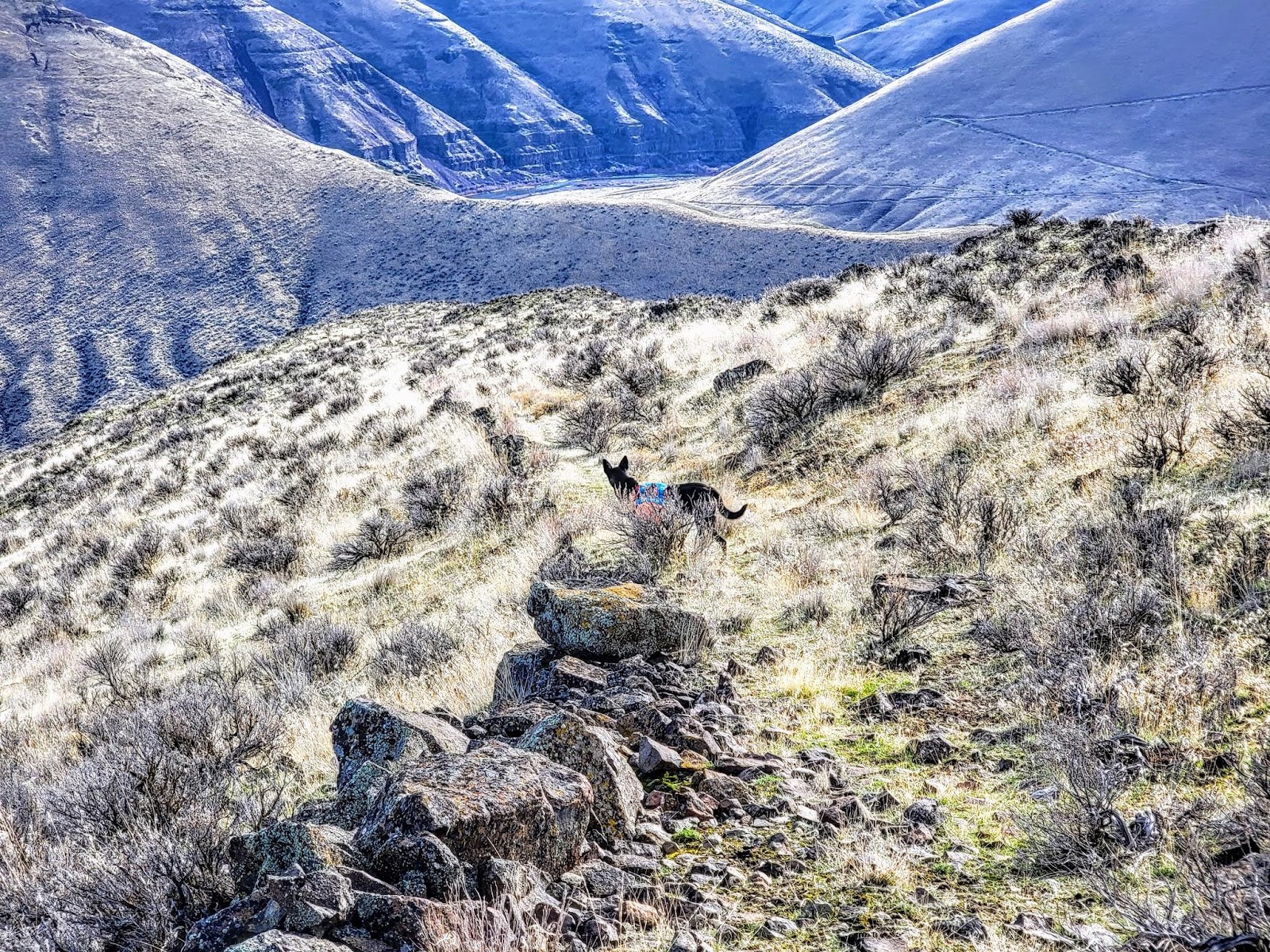 Agent Utah on his jeep road find.