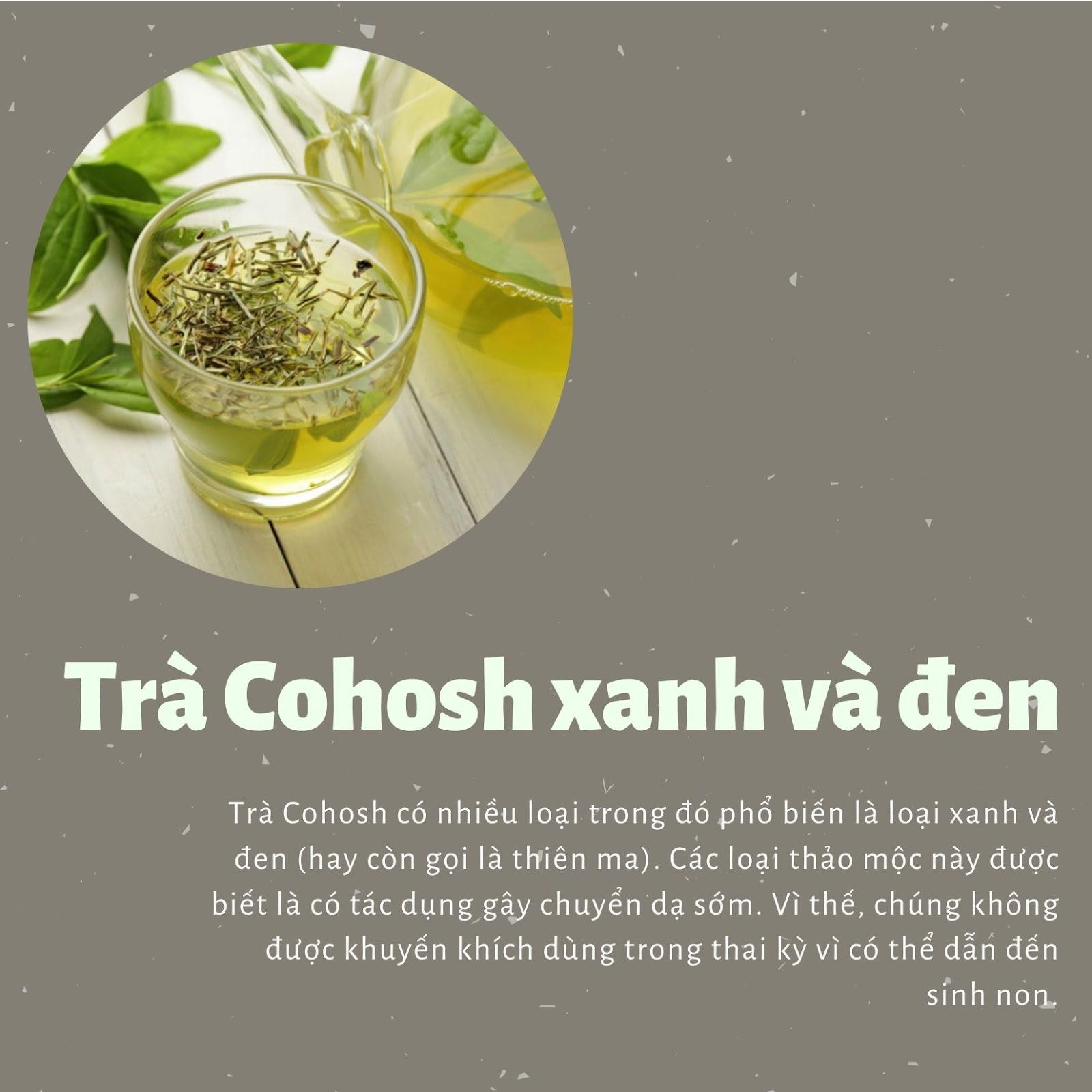 5 loại trà cần tránh trong thời gian thai kỳ - ảnh 3