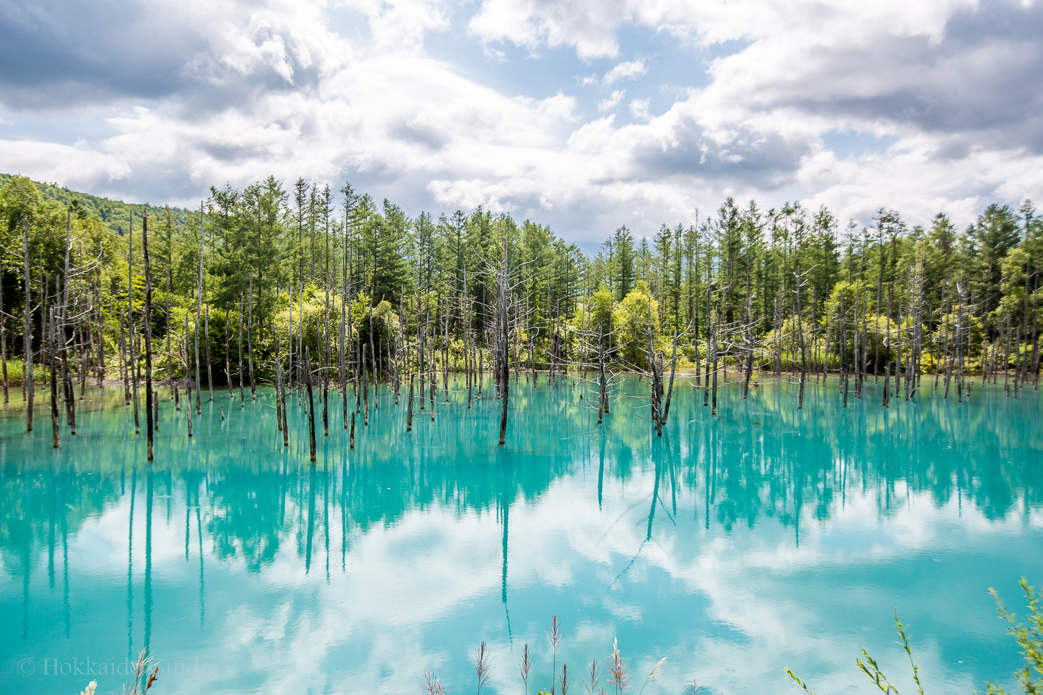 Biei Blue Lake