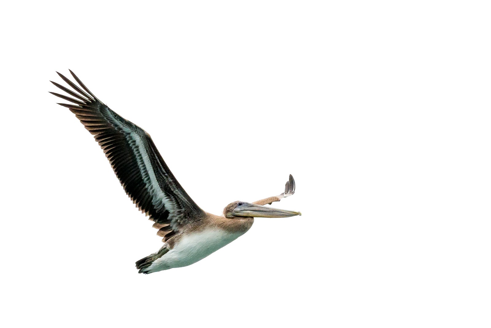 photography example