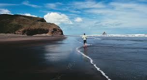 Image result for karekare beach