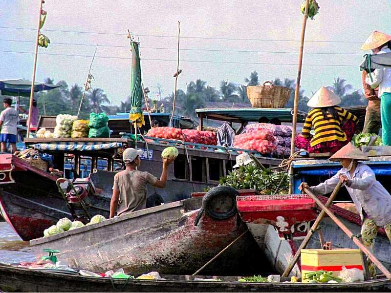 A boat full of produce</p>
<p>Description automatically generated with low confidence