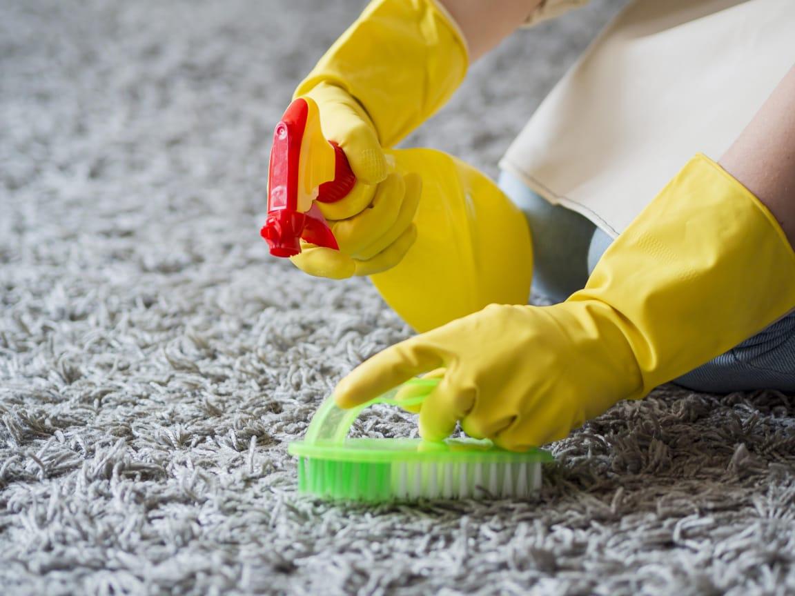 Deep Carpet Cleaning: What is it and When Do You Need it?