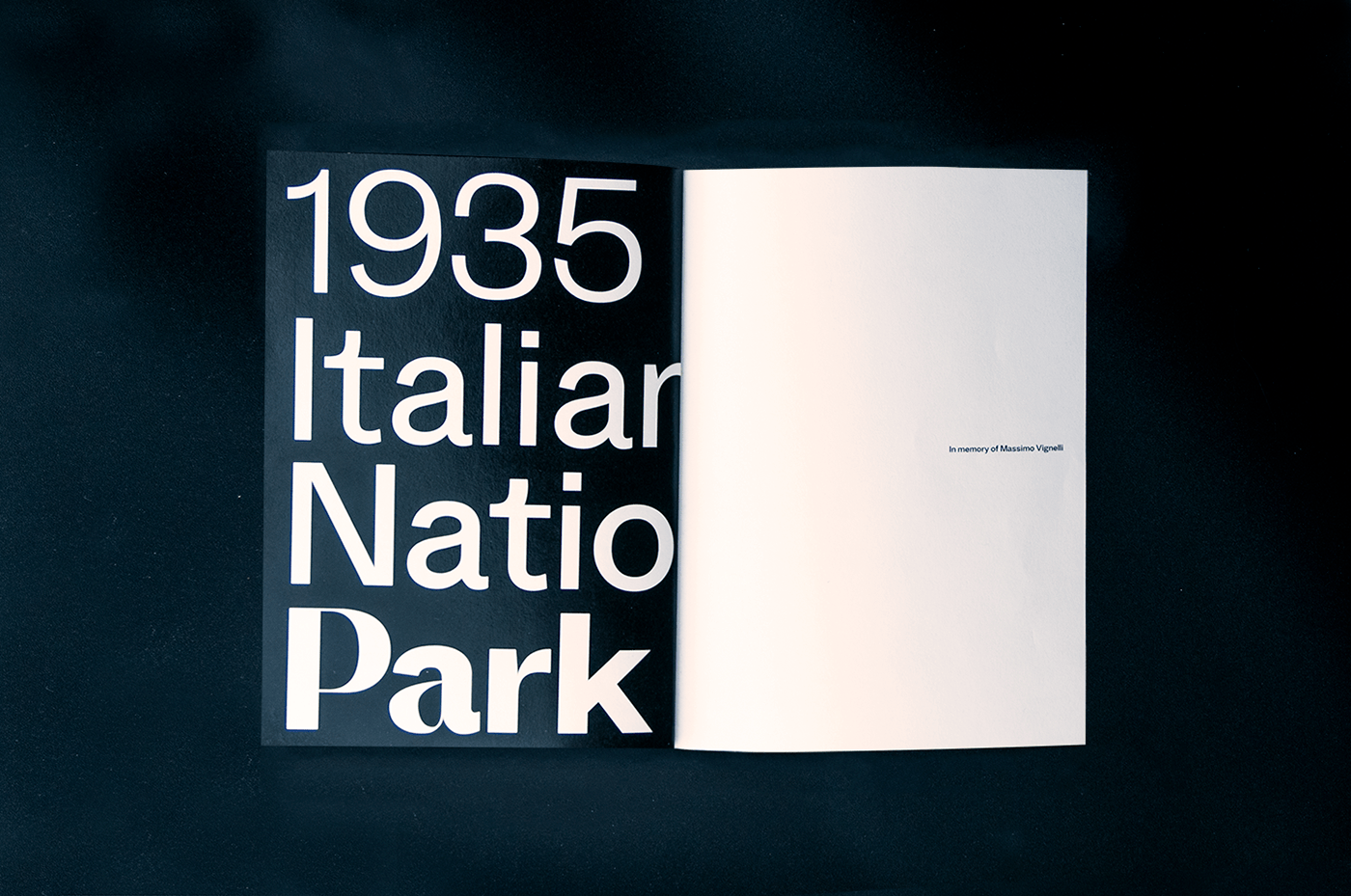 book brochure editorial font grotesk Promotional sans serif specimen type design Typeface