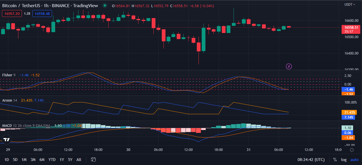 Graphique des prix BTC/USD sur 1 heure (source : TradingView)