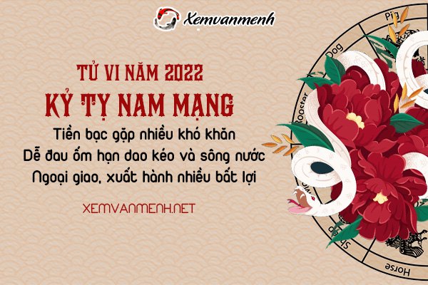 tu-vi-tuoi-ky-ty-nam-2022-nam-mang-1989