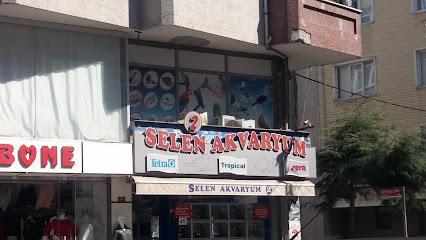 Selen Akvaryum 2