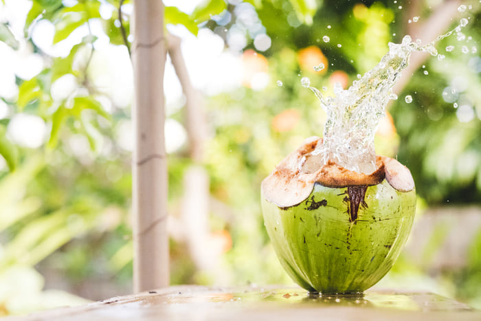 Thay vì áp dụng cách chữa sỏi mật bằng nước dừa, hãy tìm hiểu giải pháp khác từ thảo dược đã có nghiên cứu hiệu quả