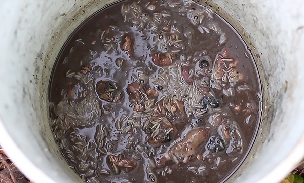 Fish Emulsion