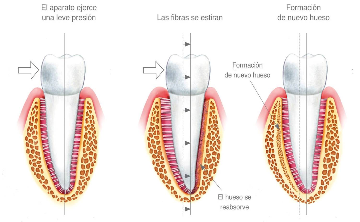 funciones.jpg