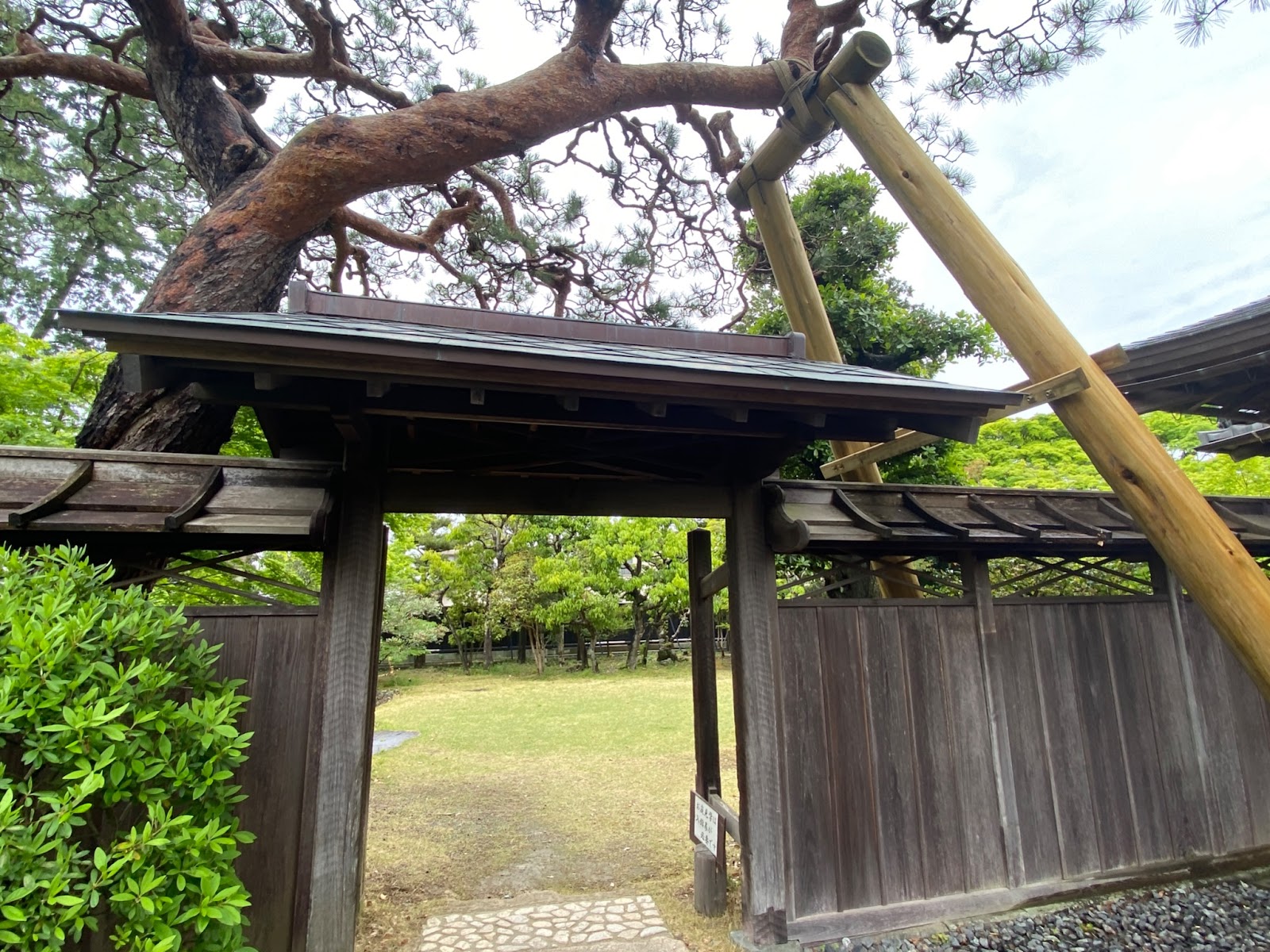 「竹の丸スイーツカフェ」の庭園