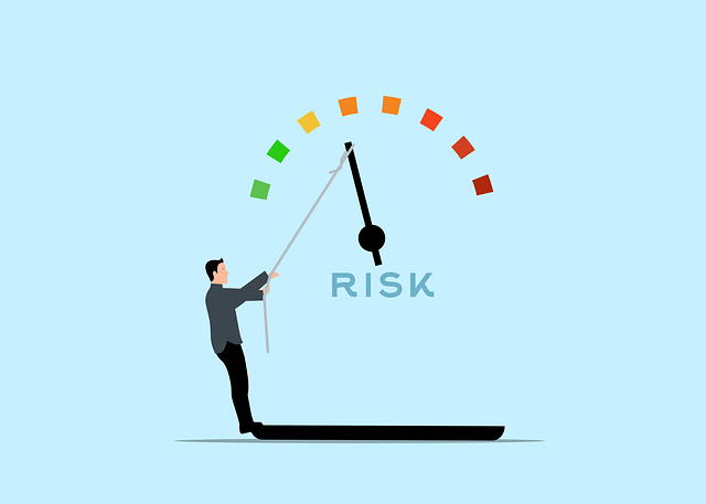 risk, management, assessment