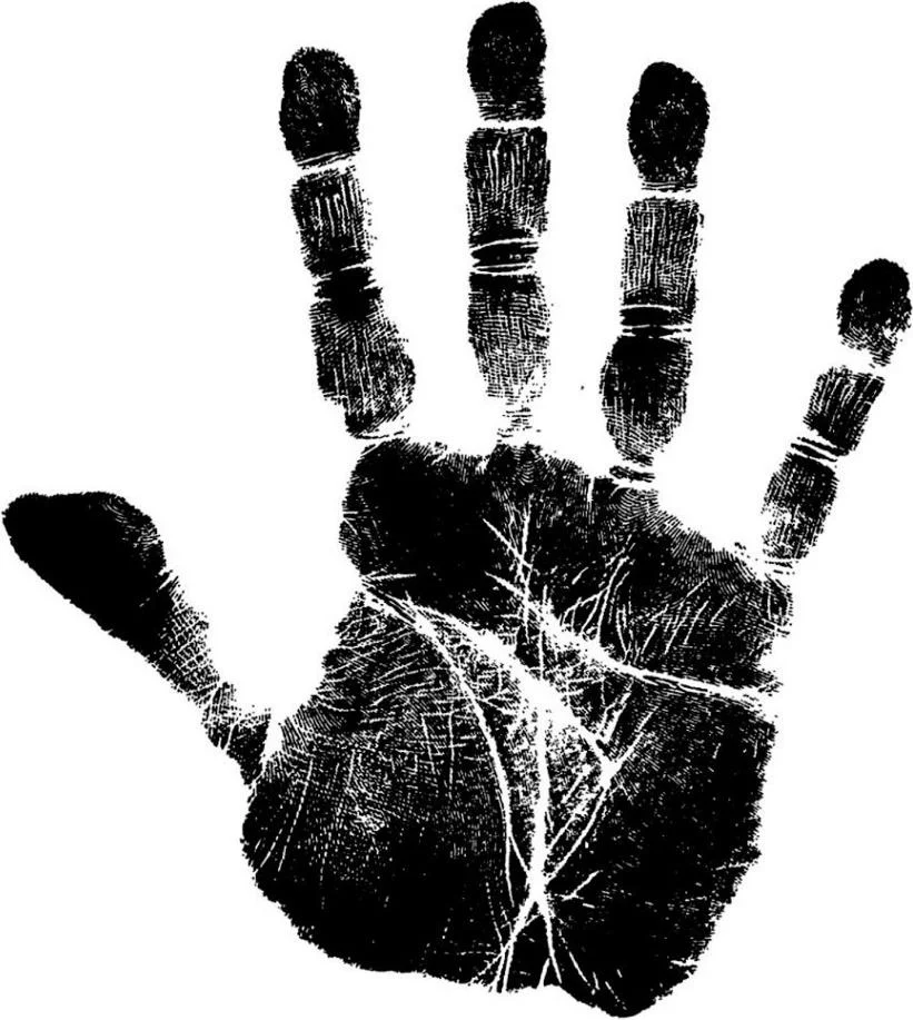 https://lh6.googleusercontent.com/N8b8DjcIf35YWEX35Ubxi2yLpiE-o50Qk9FW4hbhFN_1kIjQAQ9lJReRBNuwruTlV019bSwVp7jy7w_k6O42teS037im8Upa7fQcaN-1esacVOQUyR-zONn_yw8kk8AKIp87X6E4532bzwI_QxnLnqKECY_C9hE_5adCH6gSMpc9iNTjUoCkuKk5at8GMajLqpA_V_CdgQ