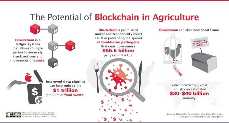 Image result for blockchain and agriculture