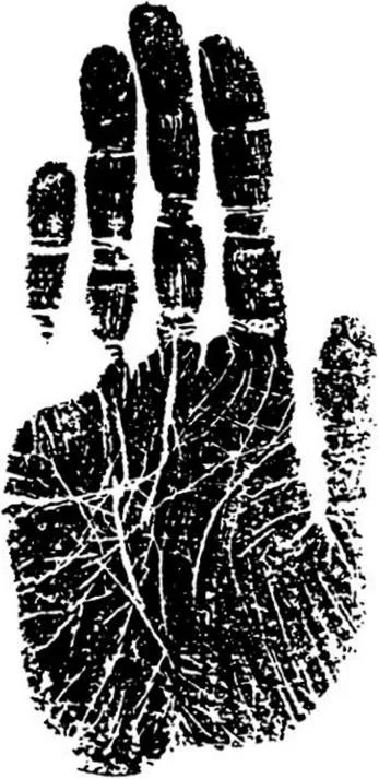 https://lh3.googleusercontent.com/e7KI-RhLwNNr9vxVqzMJEfd3fOPmRVMtghqKRxGUQPcbsgduWSV_WQuaEX5ranlB8fKx3isnrntt8t3V_qsmzIkCi4Ydc0UBSifFJr9oThqu-3a3_kipoz9nqcs1tPVbE4Ql72ObRBiLvsVkpAh6ETyPtvCZAWpZfIZsfzW5o7C0XLjxNEea_gauBn5qCKRrMrG9k3XNkQ