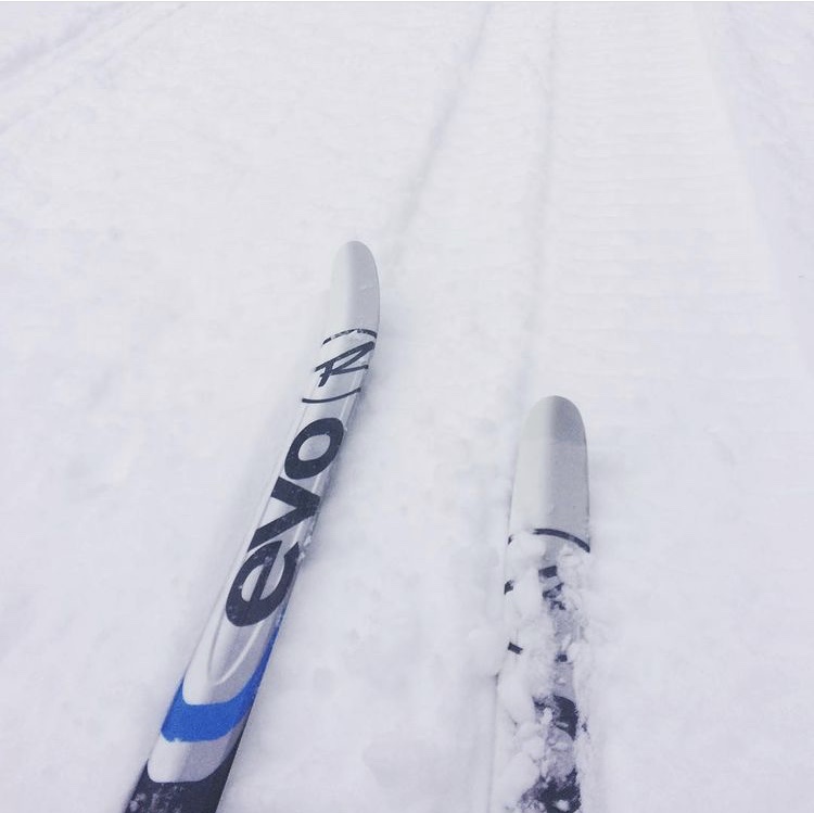 Evo skis along a snowy trail.