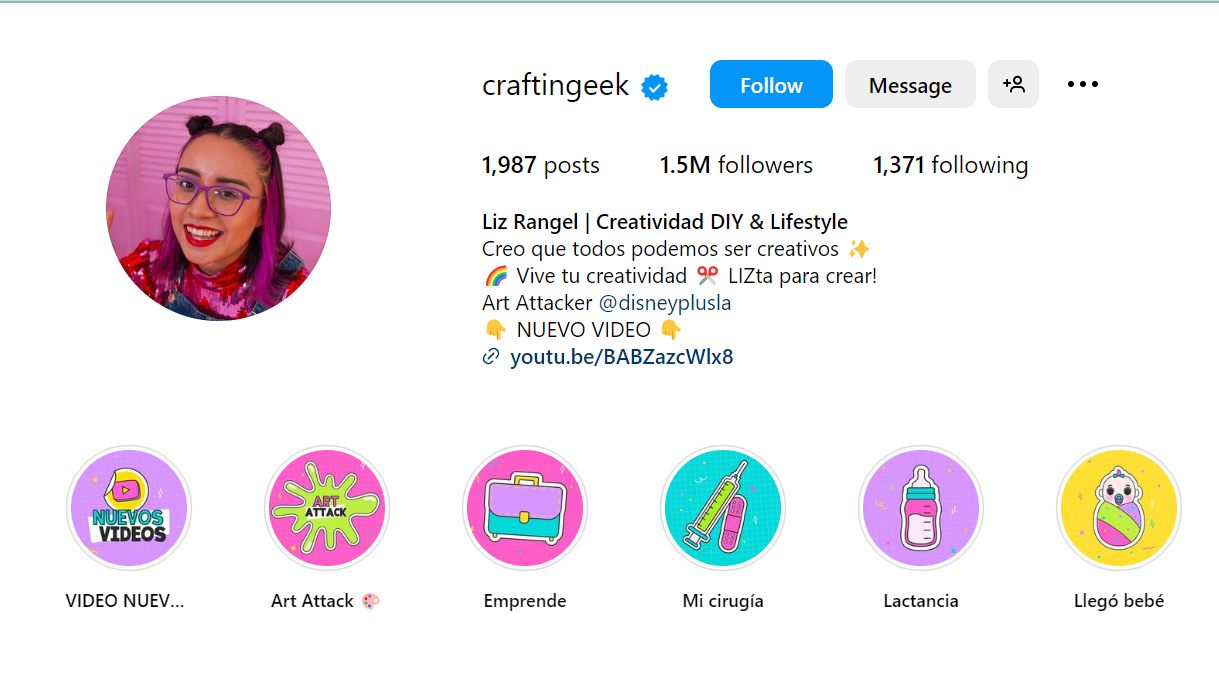 Screenshot of @craftingeek Instagram profile page