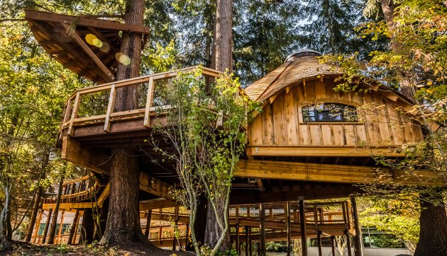 A treehouse as part of the Microsoft office in Redmond, Washington for a truly outdoor space