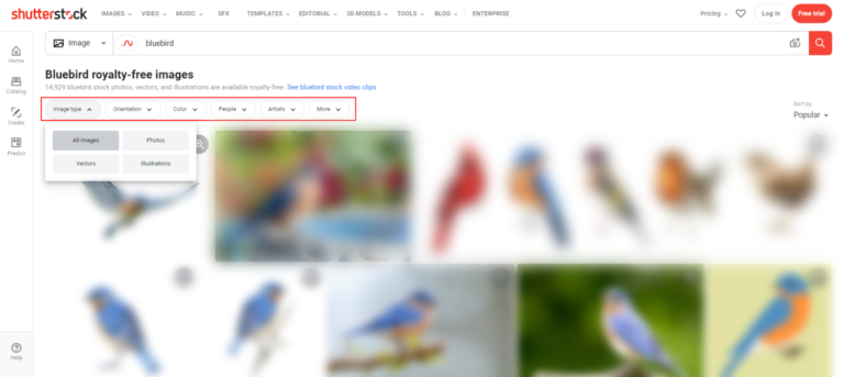 Công cụ tìm kiếm hình ảnh Shutterstock