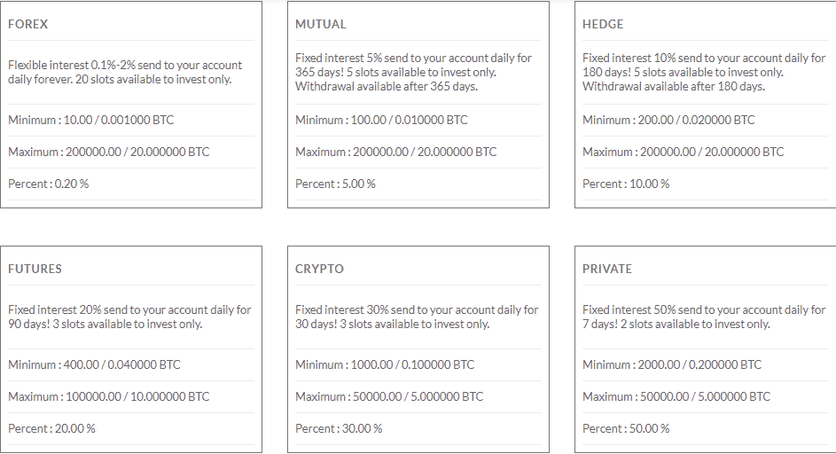 Обзор проекта Bitwealth Company: условия инвестирования и отзывы о компании