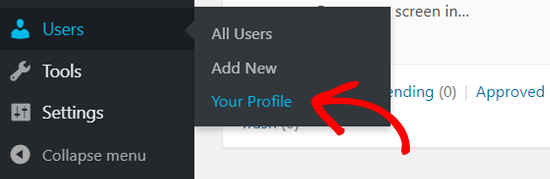 Sua página de perfil no WordPress