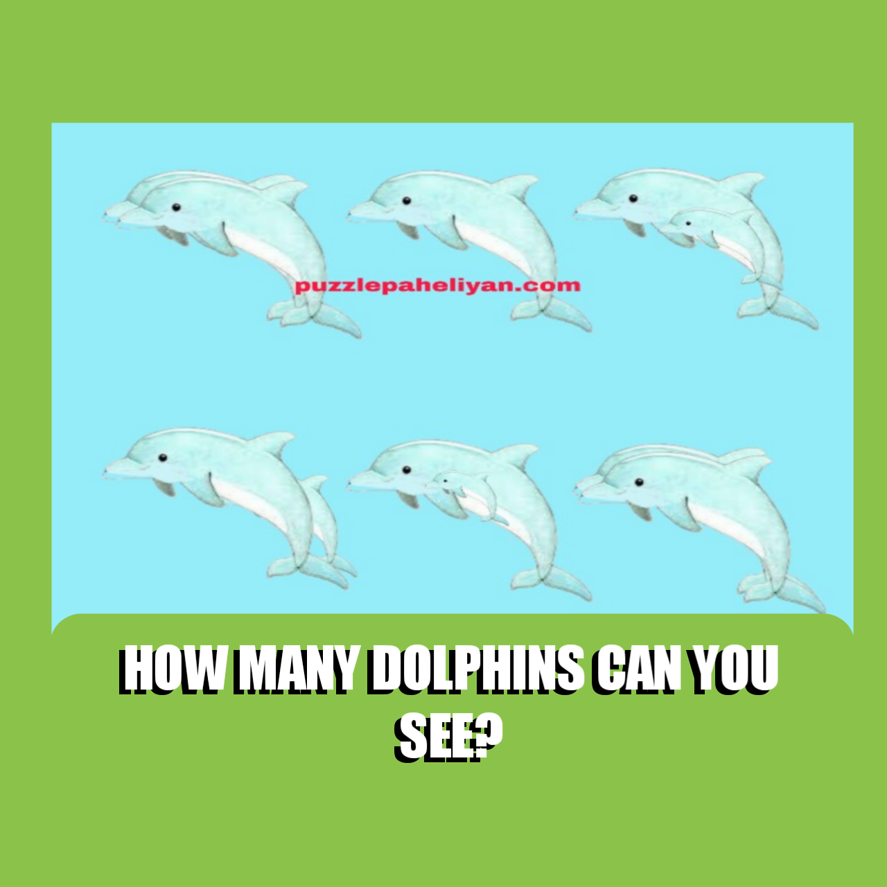 Answer to dolphins math picture Puzzle