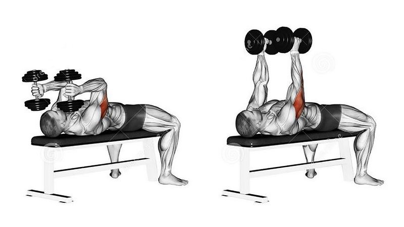 Tricep ‌Exercises‌ and Workouts For Men