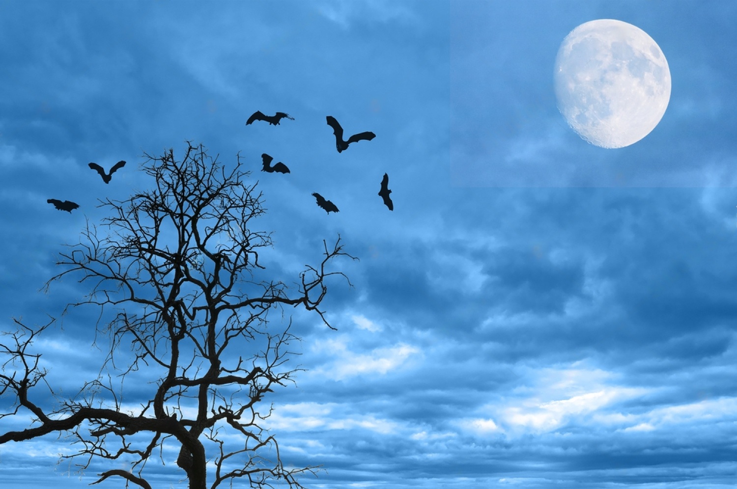 Where Do Birds Go At Night? 4 QQD90giBoI8 y2wGANjfVb6nZNo2q9z3fbRZdgzUXI fr C31aJbNDzaaaKTY1X4KioJ gumiI95YTK0Zuo0sQtLziaEUZsH eAL2eJB6w ggEzzxbS0xKPoPPMlBjMeka7Y7F c YbW 7E5NOkXt8