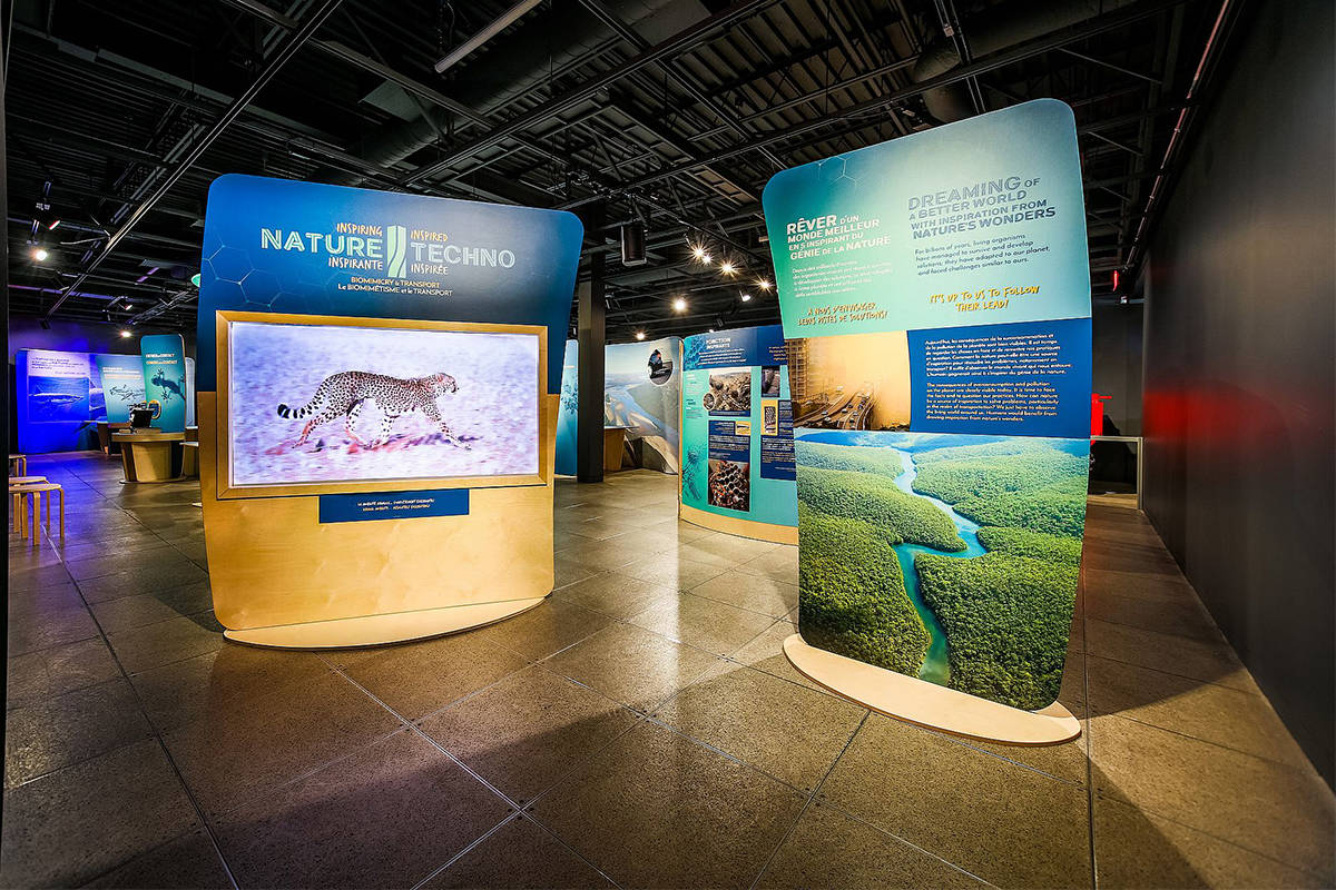 two displays at the Okanagan Science Centre