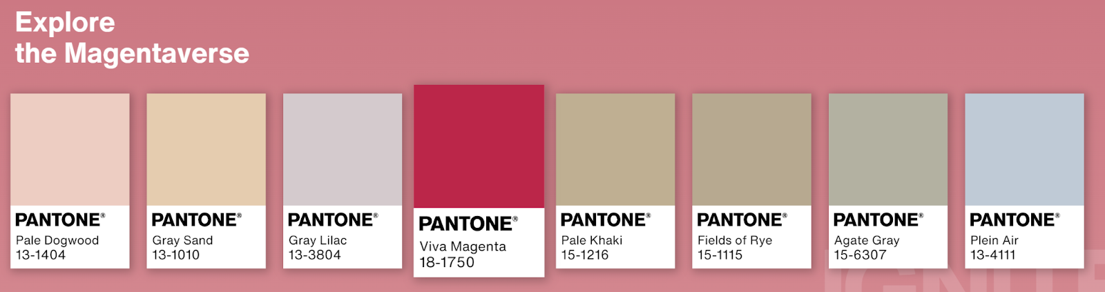 Pantone Viva Magenta