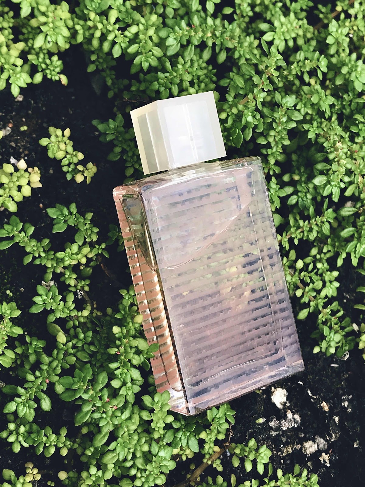 light everyday perfume
