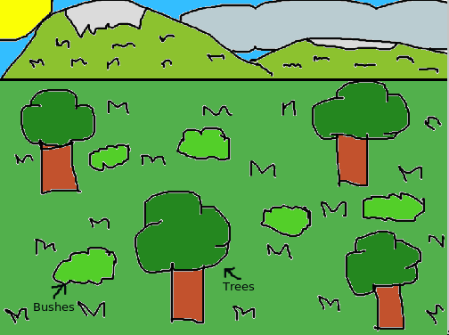 forest.png