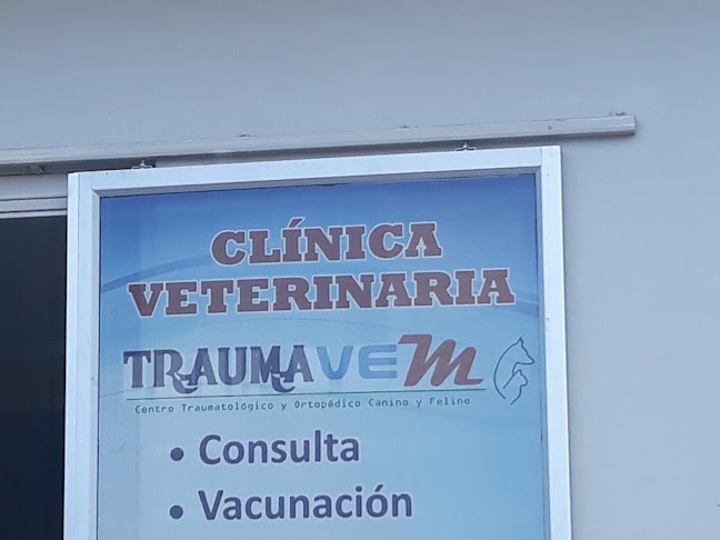 Clínica Veterinaria Traumavem - Cuenca