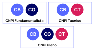 Guia Definitivo para ser aprovado na CNPI em 2023