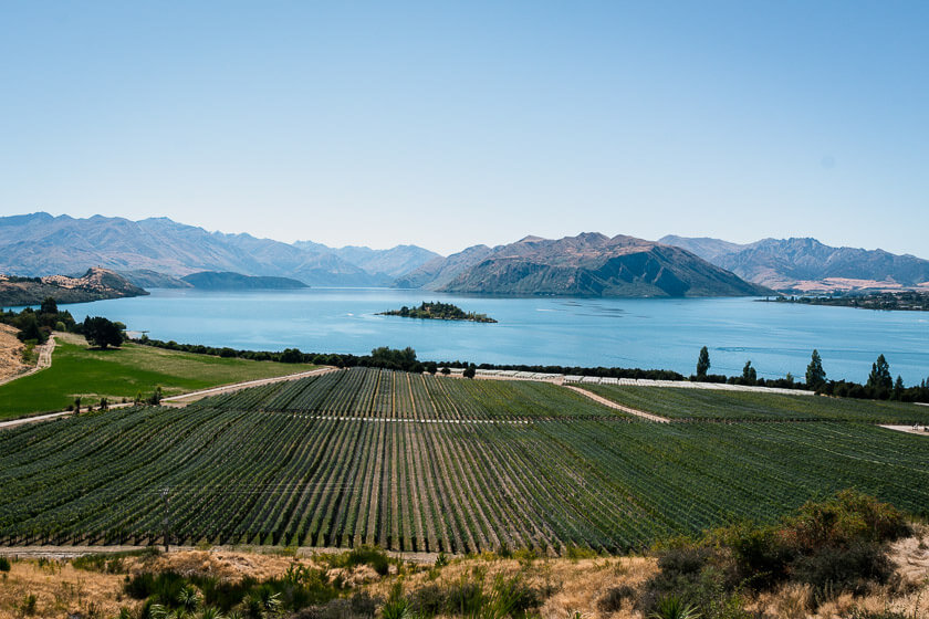 queenstown vineyard tour