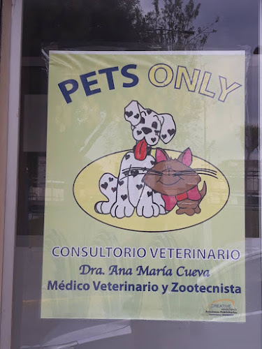 Pets Only - Veterinario